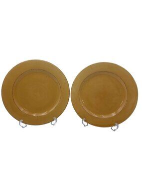 Pier 1 Toscana Gold Hand-Painted Earthenware Dinner Plates Set Of 2 11" Italy